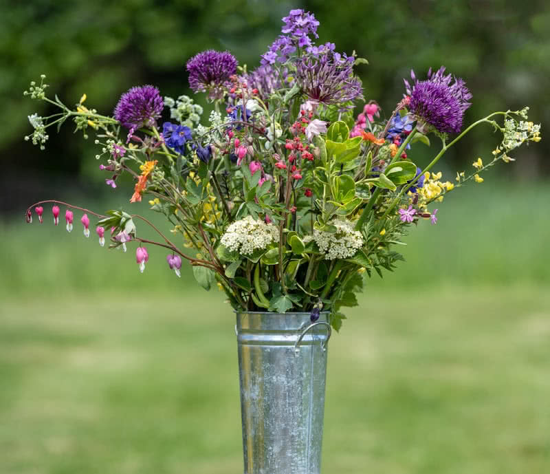 An example of a £25 pick-your-own container of flowers...
