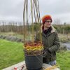 Willow Weaving Workshop: Sweet Pea Support