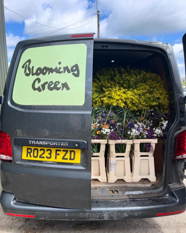 🚚 🚚 🇬🇧 💐 incoming! @bloomfieldoflondon 
.
Did you know we supply @bloomfieldoflondon at @marketflowers our Kent grown foliage and mixed flower buckets? If you’re a florist in London and want to get your hand on some chemical free, British grown  @bloominggreen goodies! Get yourself along to the flower market!
.
Our first delivery of the season is tomorrow morning. In the van we have…mixed seasonal flower buckets, photinia, woad, hornbeam, birch, cardoon leaves, guelder rose snowball & guelder rose. 
.
#womanwithavan #ncgm #bloominggreenflowers #wholesaleflowers #britishflowers #britishfoliage #chemicalfreeflowers #buybritish #londonflorist #flowermarket